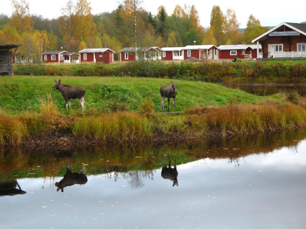 Klaraelvens Camping Stöllet Quarto foto